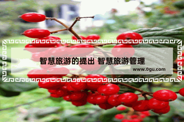 智慧旅游的提出 智慧旅游管理