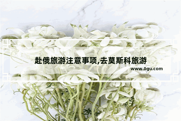 赴俄旅游注意事项,去莫斯科旅游