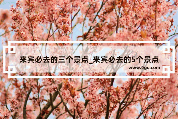 来宾必去的三个景点_来宾必去的5个景点