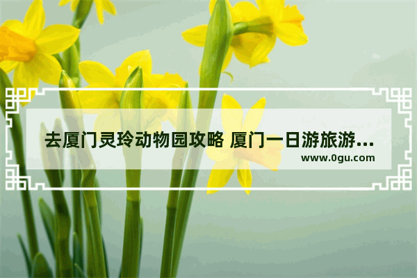 去厦门灵玲动物园攻略 厦门一日游旅游攻略