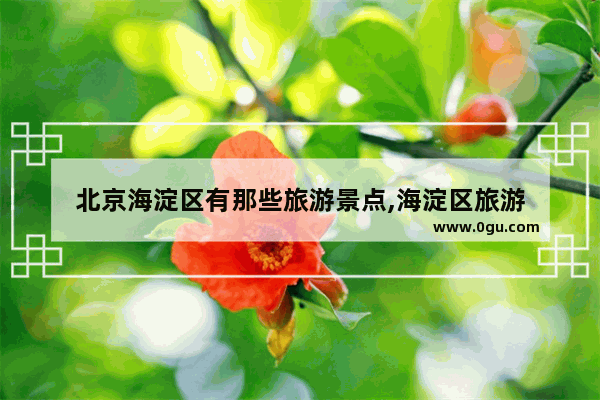 北京海淀区有那些旅游景点,海淀区旅游