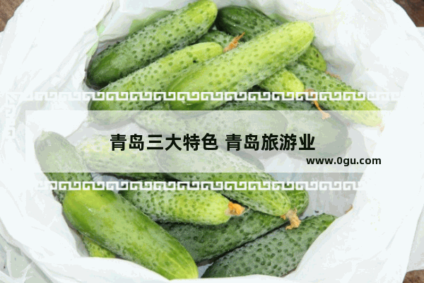 青岛三大特色 青岛旅游业