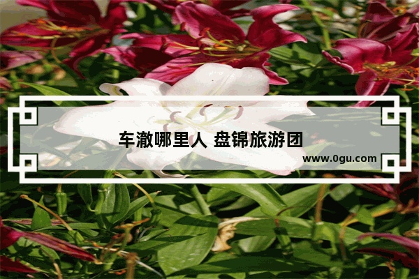 车澈哪里人 盘锦旅游团