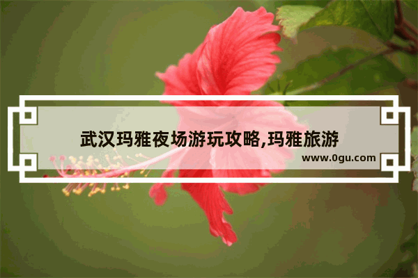 武汉玛雅夜场游玩攻略,玛雅旅游
