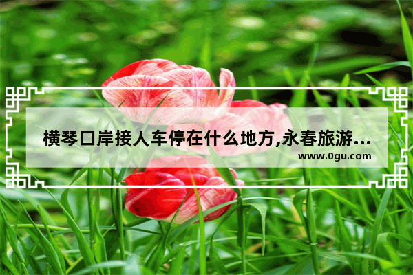横琴口岸接人车停在什么地方,永春旅游攻略
