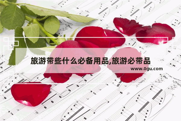 旅游带些什么必备用品,旅游必带品