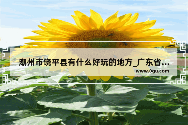 潮州市饶平县有什么好玩的地方_广东省潮州市饶平县有哪些旅游景点