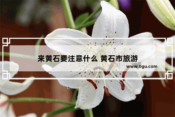 来黄石要注意什么 黄石市旅游