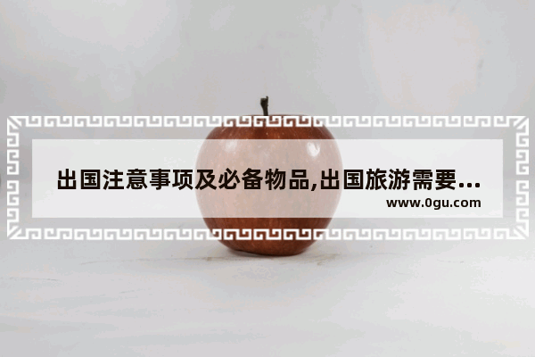 出国注意事项及必备物品,出国旅游需要什么