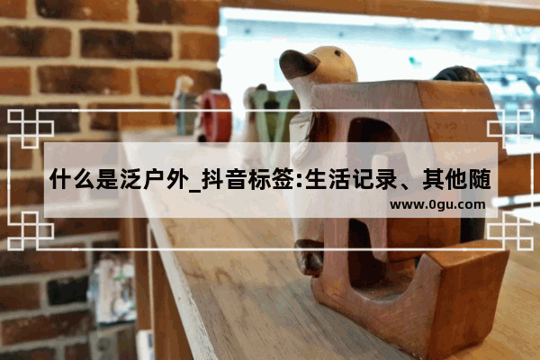 什么是泛户外_抖音标签:生活记录、其他随拍、颜值风格有什么不同