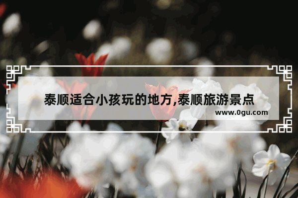 泰顺适合小孩玩的地方,泰顺旅游景点
