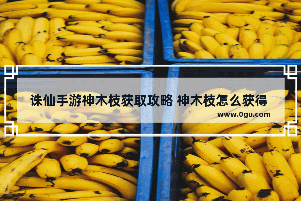诛仙手游神木枝获取攻略 神木枝怎么获得 神木旅游攻略