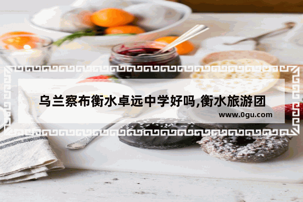 乌兰察布衡水卓远中学好吗,衡水旅游团