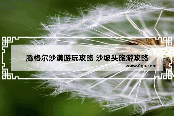 腾格尔沙漠游玩攻略 沙坡头旅游攻略