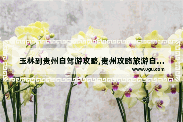 玉林到贵州自驾游攻略,贵州攻略旅游自由行
