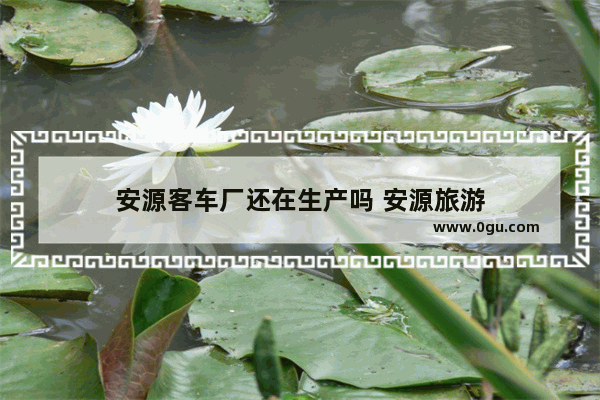 安源客车厂还在生产吗 安源旅游
