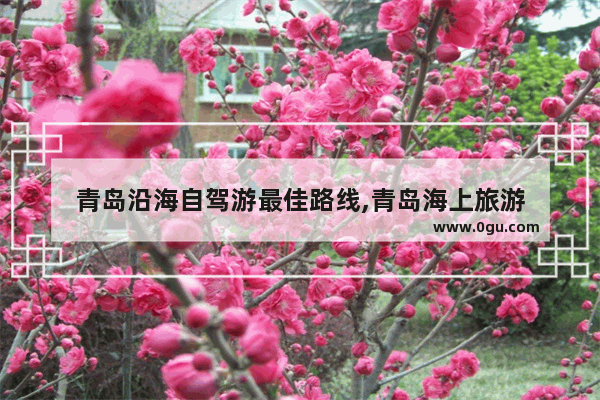 青岛沿海自驾游最佳路线,青岛海上旅游
