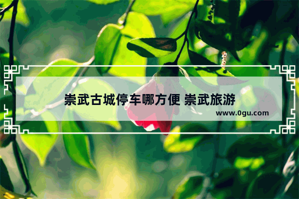 崇武古城停车哪方便 崇武旅游