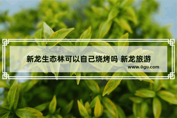 新龙生态林可以自己烧烤吗 新龙旅游