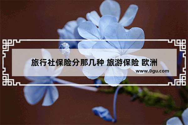 旅行社保险分那几种 旅游保险 欧洲