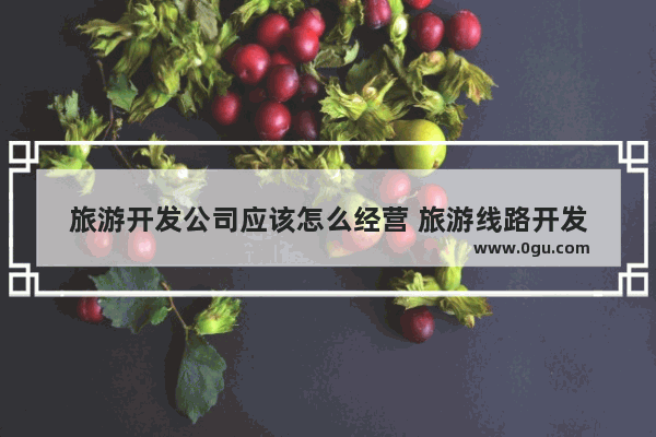 旅游开发公司应该怎么经营 旅游线路开发