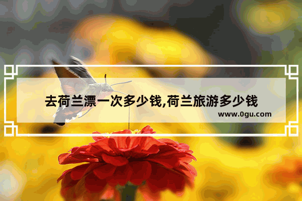 去荷兰漂一次多少钱,荷兰旅游多少钱