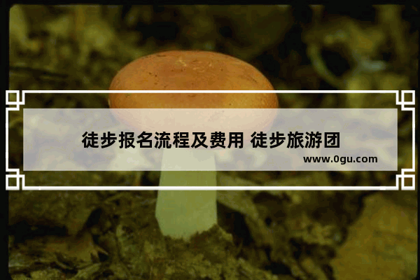 徒步报名流程及费用 徒步旅游团