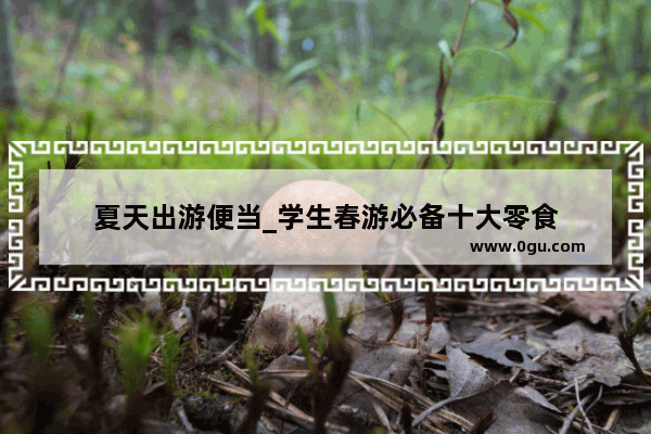 夏天出游便当_学生春游必备十大零食