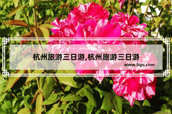 杭州旅游三日游,杭州旅游三日游