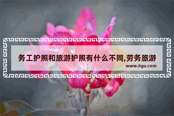 务工护照和旅游护照有什么不同,劳务旅游
