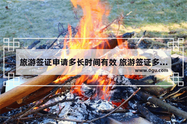 旅游签证申请多长时间有效 旅游签证多长时间