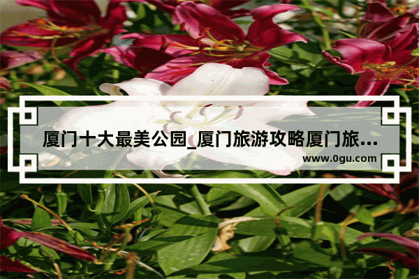 厦门十大最美公园_厦门旅游攻略厦门旅游景点
