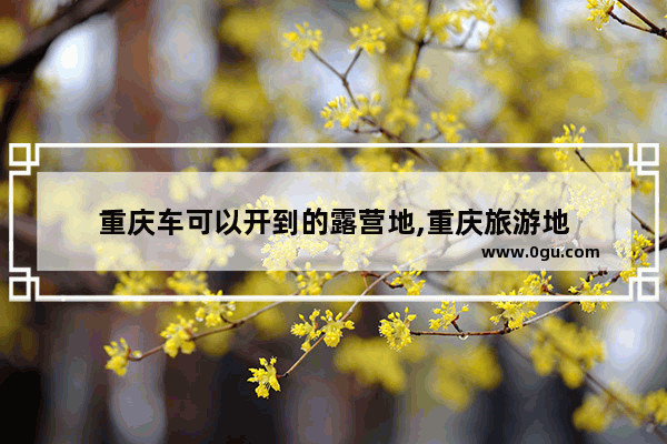 重庆车可以开到的露营地,重庆旅游地