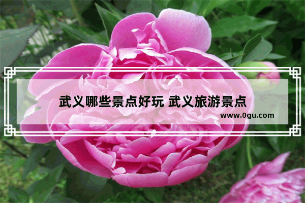 武义哪些景点好玩 武义旅游景点