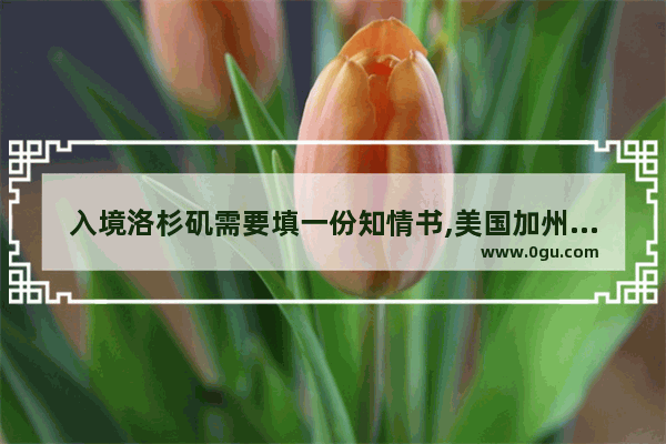 入境洛杉矶需要填一份知情书,美国加州旅游