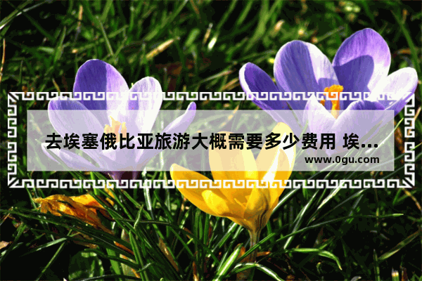 去埃塞俄比亚旅游大概需要多少费用 埃塞旅游
