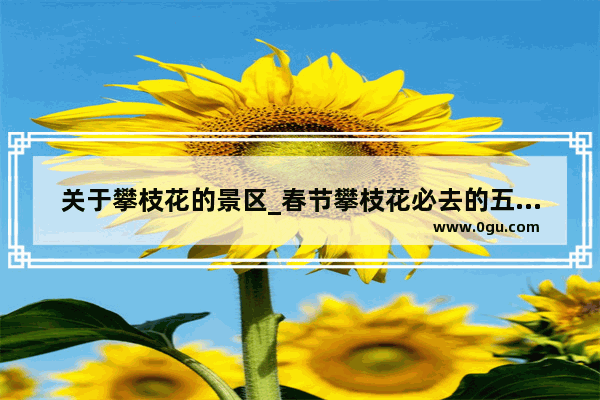 关于攀枝花的景区_春节攀枝花必去的五个景点