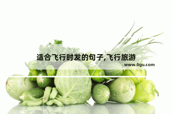 适合飞行时发的句子,飞行旅游