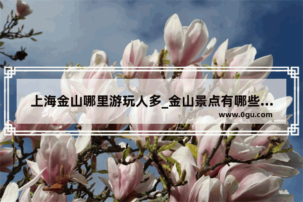 上海金山哪里游玩人多_金山景点有哪些地方
