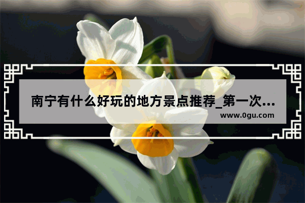 南宁有什么好玩的地方景点推荐_第一次南宁市值得游玩的景点
