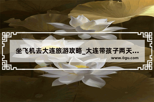 坐飞机去大连旅游攻略_大连带孩子两天一夜旅游攻略