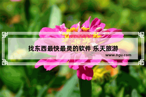 找东西最快最灵的软件 乐天旅游