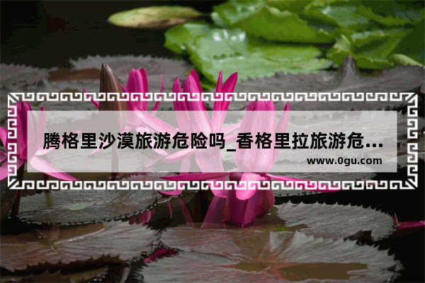 腾格里沙漠旅游危险吗_香格里拉旅游危险吗