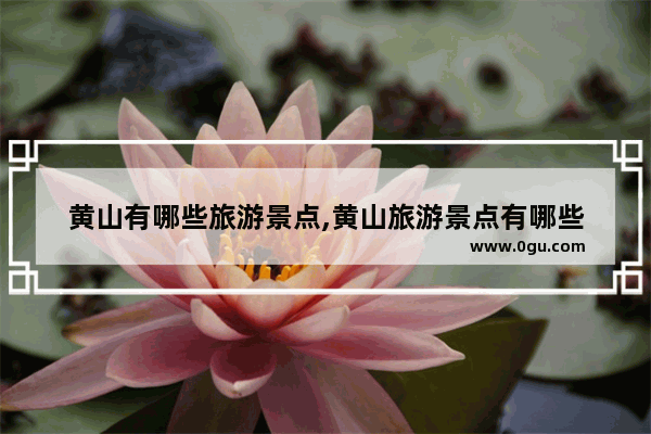 黄山有哪些旅游景点,黄山旅游景点有哪些