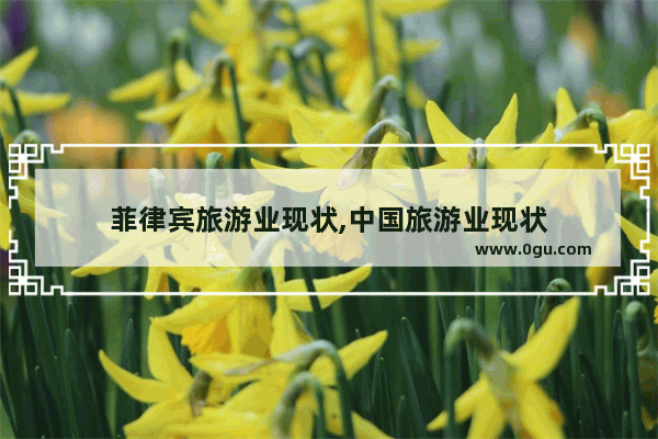 菲律宾旅游业现状,中国旅游业现状