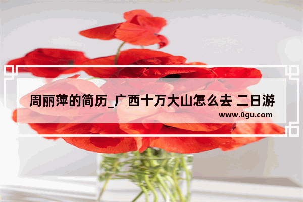 周丽萍的简历_广西十万大山怎么去 二日游价格