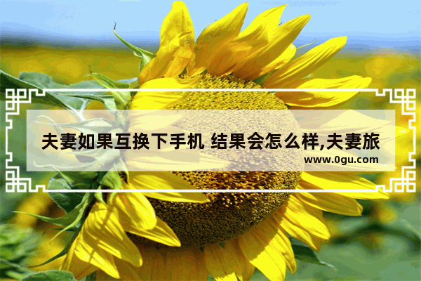 夫妻如果互换下手机 结果会怎么样,夫妻旅游交换