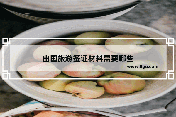 出国旅游签证材料需要哪些
