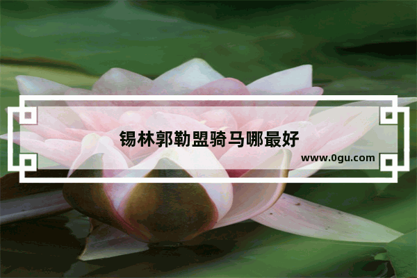 锡林郭勒盟骑马哪最好