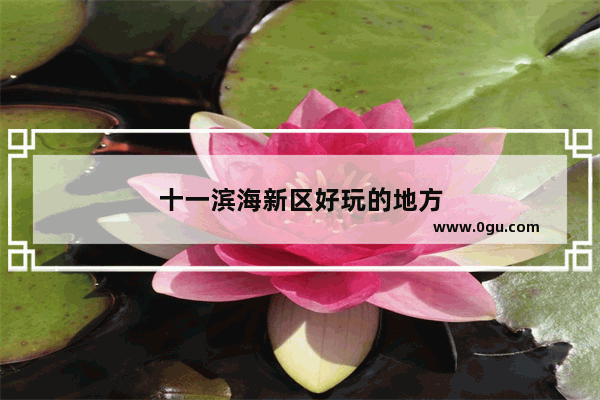十一滨海新区好玩的地方